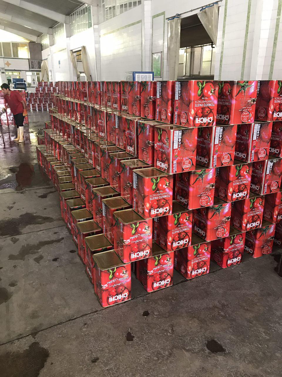 تولید کننده رب گوجه حلبی 17 کیلویی