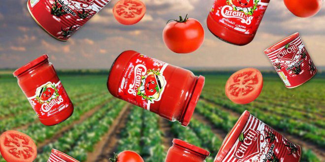 رب گوجه فرنگی صادراتی