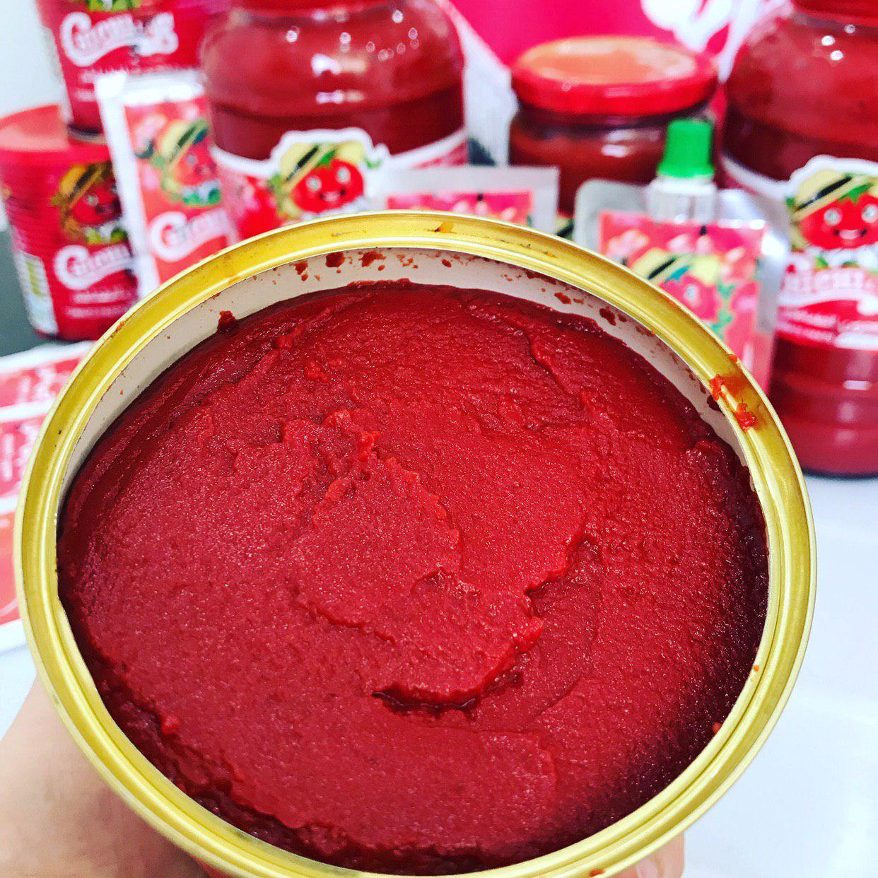 Wholesale 800g Tomato Paste with natural color and rich texture. Buy in bulk at competitive prices with fast, reliable delivery today.